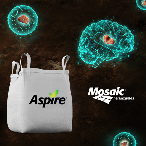 Fertilizante Granular 00-00-58 ASPIRE + 0,5% B  - 0