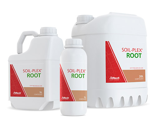 SOIL PLEX ROOT