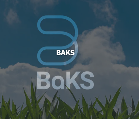 BAKS 9,39 K2O + 3,00 S + 0,30 B + 0,07 Mn + 23,49 Si - 0