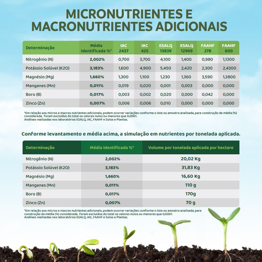 Fertilizante Fosfatado 15% P+13% Ca+3% S + Micros (alternativa a super simples, MAP, NPK) - 2