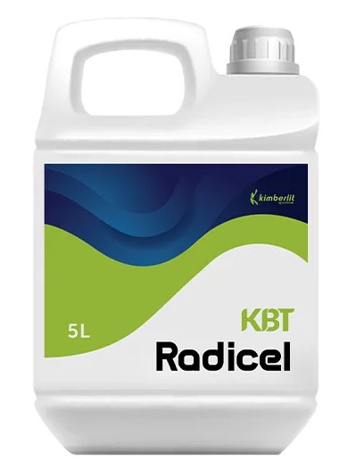 KBT Radicel - 0