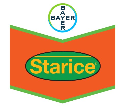 STARICE NEW EC144 - 0