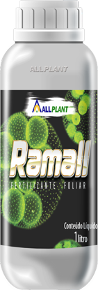 Ramall