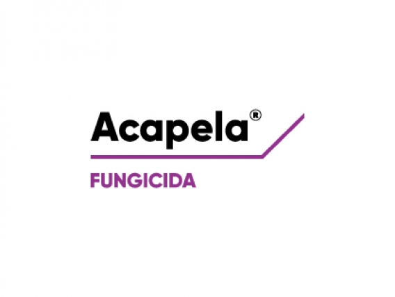 Acapela - 0