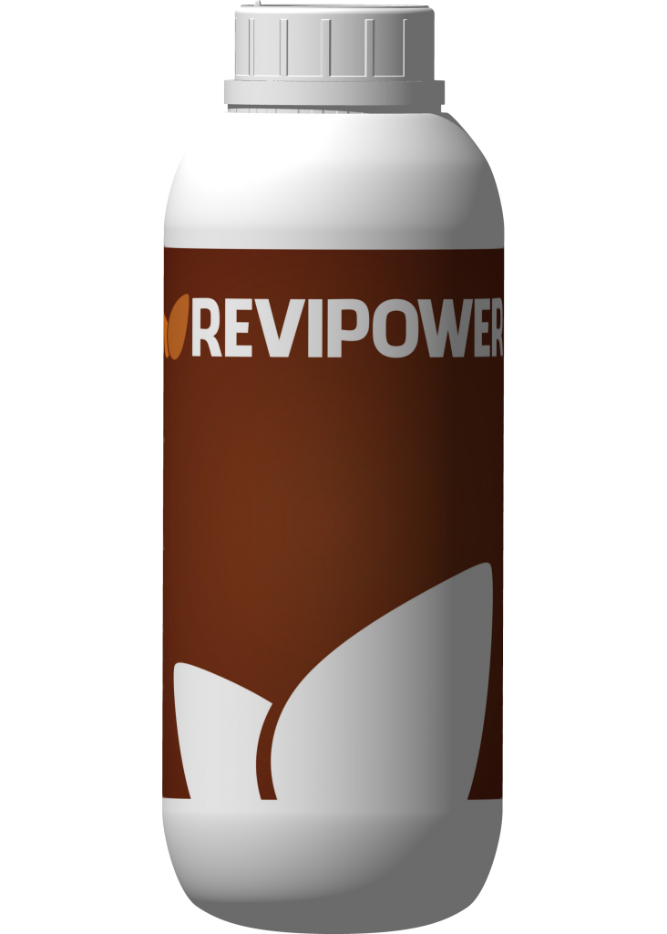 Revigor / Revipower - 0