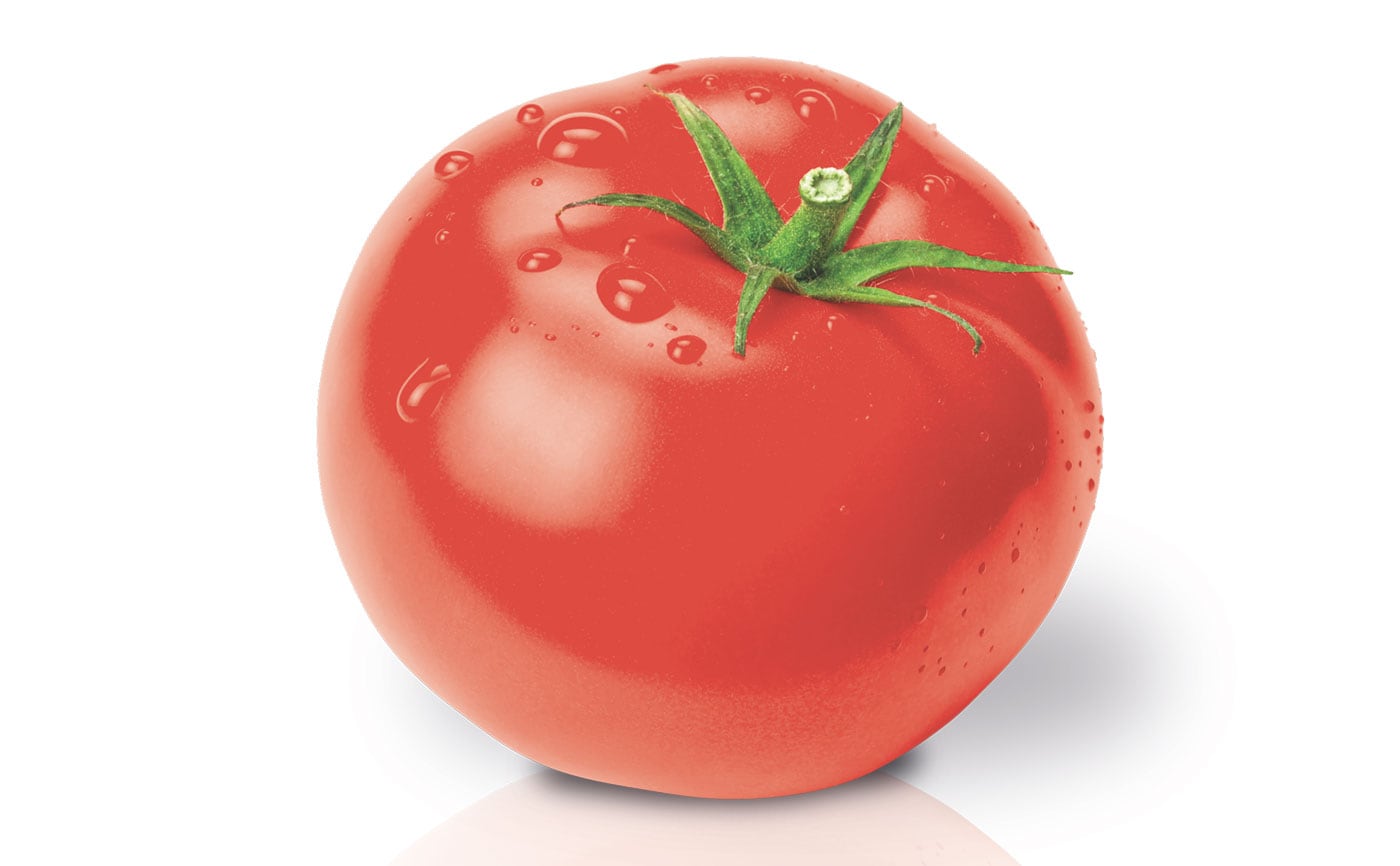 Tomate Pietra - 0