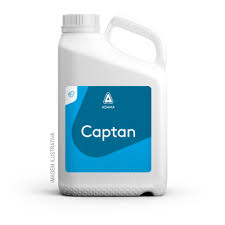 ADAMA CAPTAN