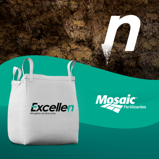 ADUBO 33 00 15 UR EXCLN BAG MOSAIC - 0