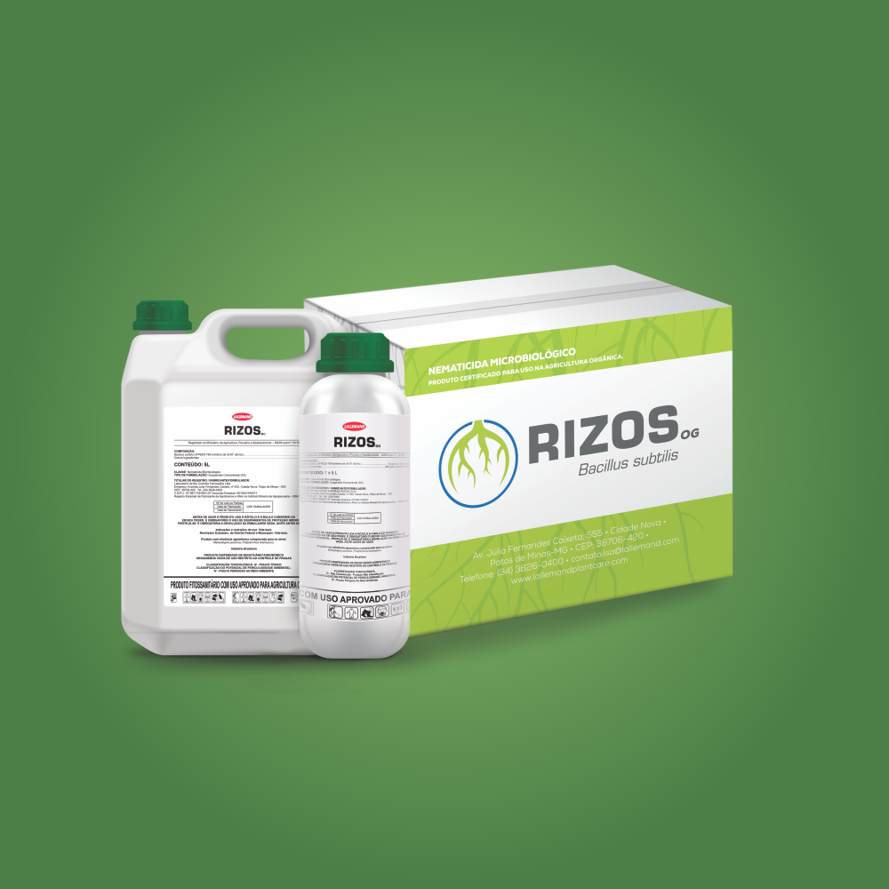 Rizos OG - 0