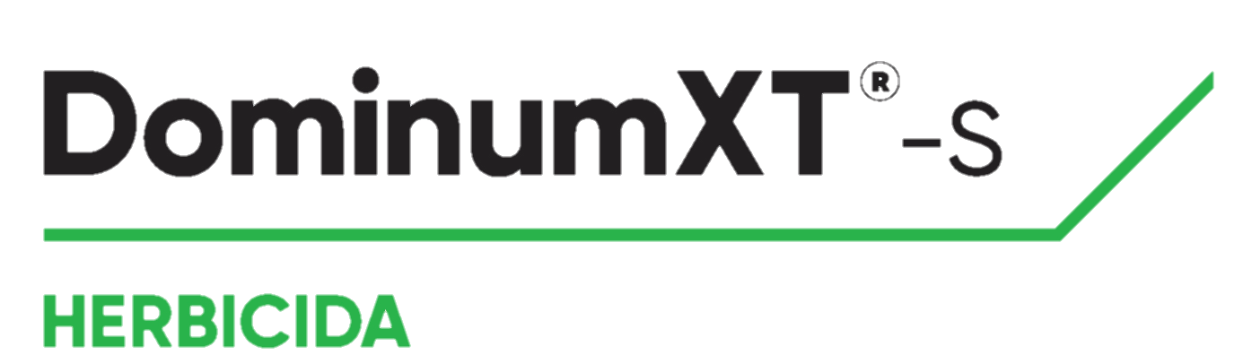 DOMINUM XT-S - 