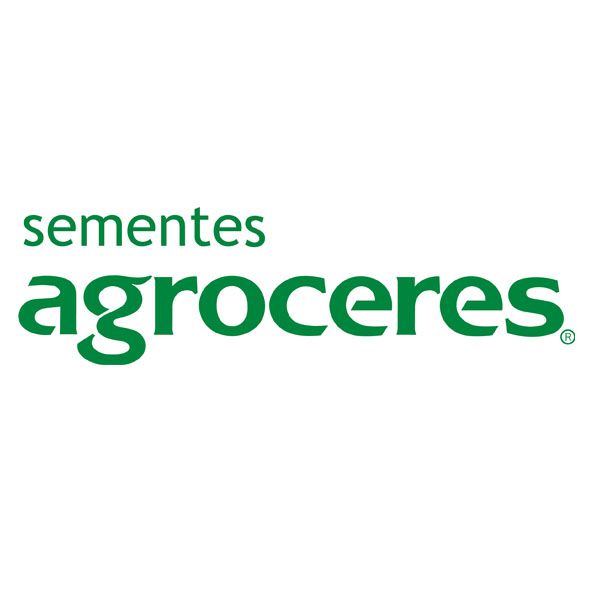 SEMENTE MILHO AG8780 PRO4 AGROCERES 60000