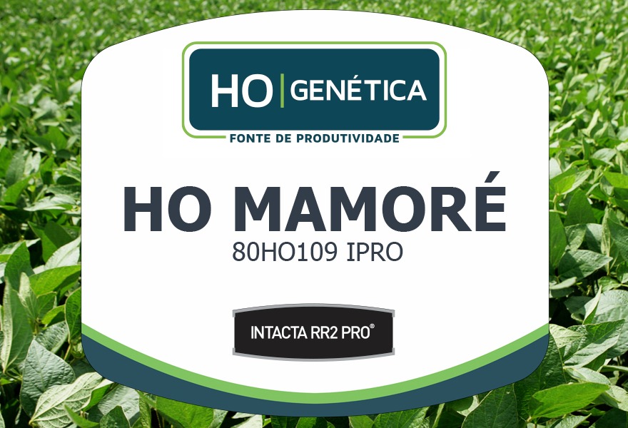 SEMENTE DE SOJA - 80HO109 IPRO (MAMORE) - BB - MS - 0