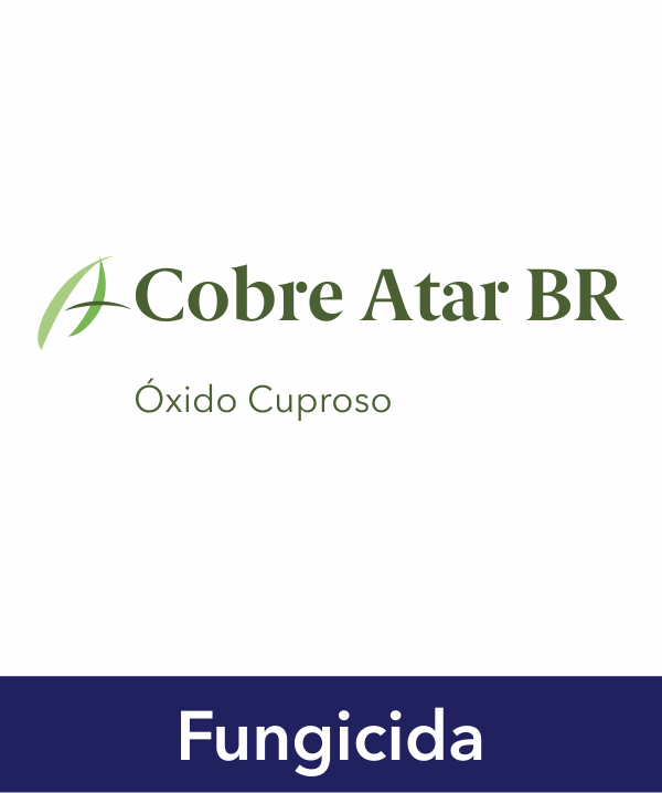 COBRE ATAR BR 1KG - 0