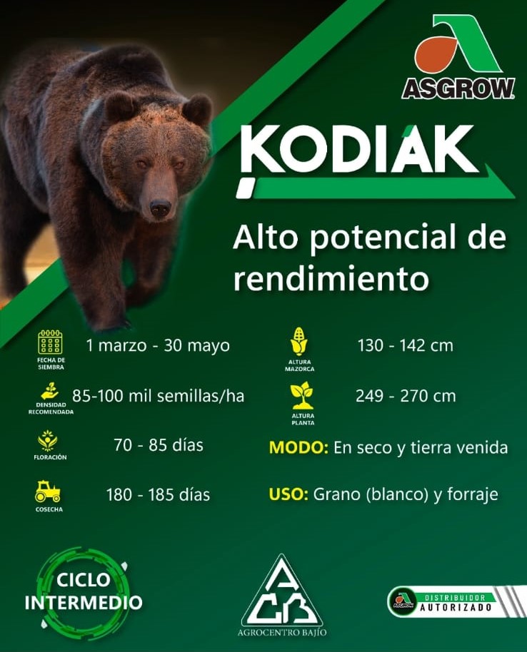 Semilla de Maíz Kodiak Tratada con Acceleron   - 0