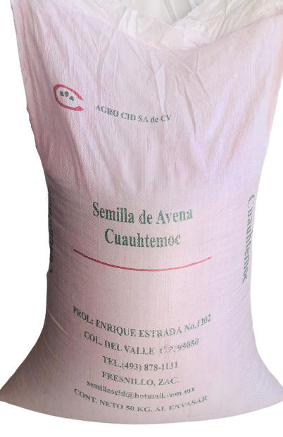 Semilla de Avena Cuahutemoc Certificada - 0