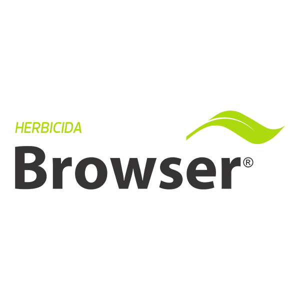 Browser