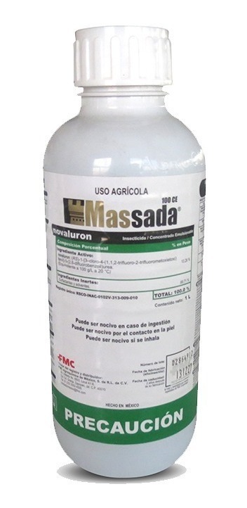 Massada 100 CE - 0