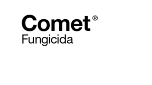 COMET  - 0