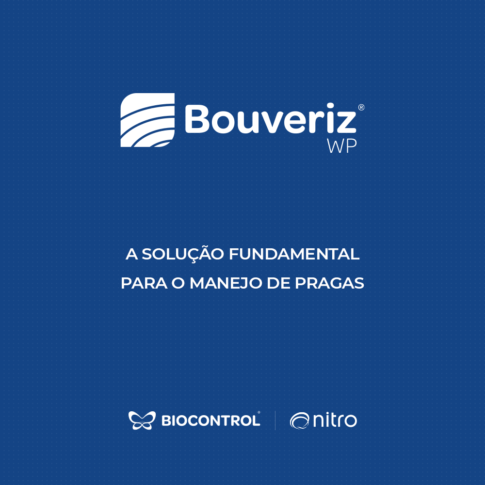 Bouveriz - 1