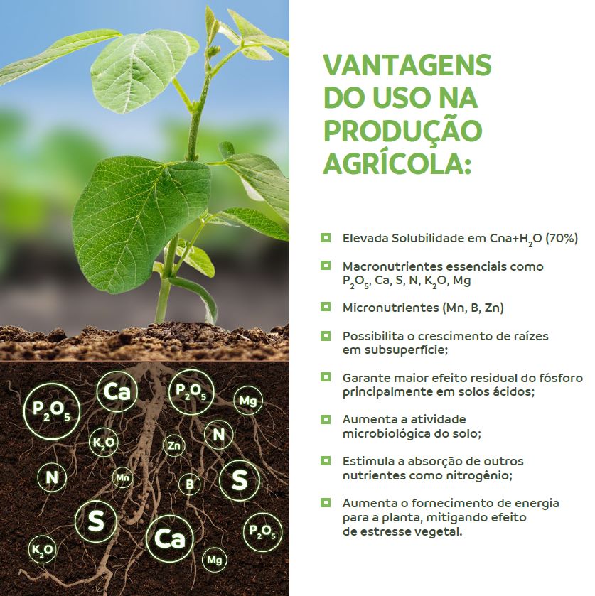 Fertilizante Fosfatado 15% P + 13% Ca + 3% S + Micros (alternativa a super simples, MAP, NPK) - 3