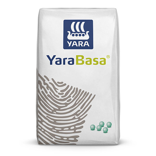 YARABASA 08-17-11 5Ca 8S