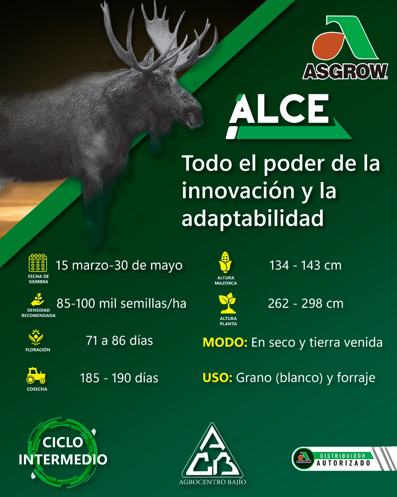 Semilla de Maíz Alce Tratada con Acceleron - 0