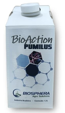 BIO ACTION PUMILUS - 0