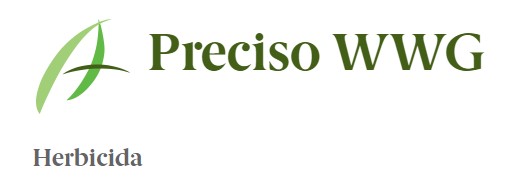 Preciso WWG - 0