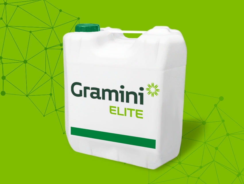 GRAMINI ELITE x 20 lt 