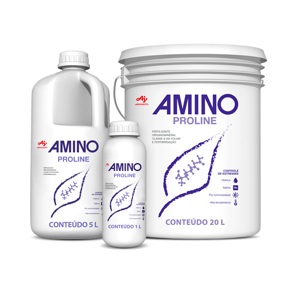 AMINO PROLINE - 0