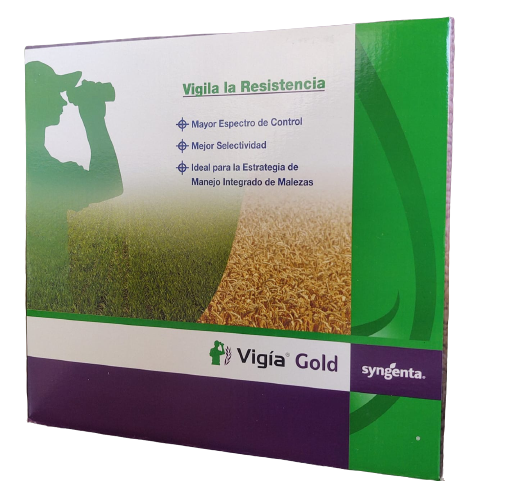 Vigia Gold - 0