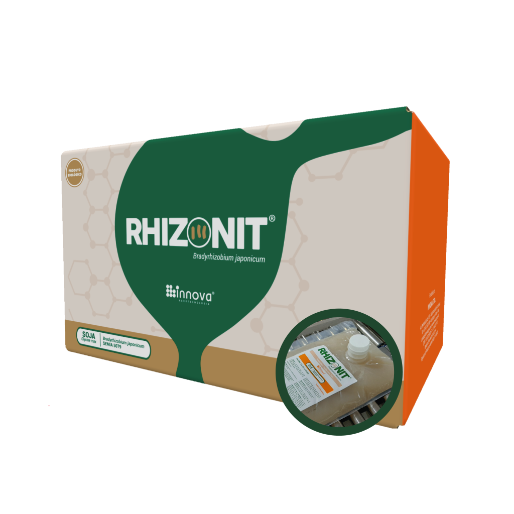 Rhizonit